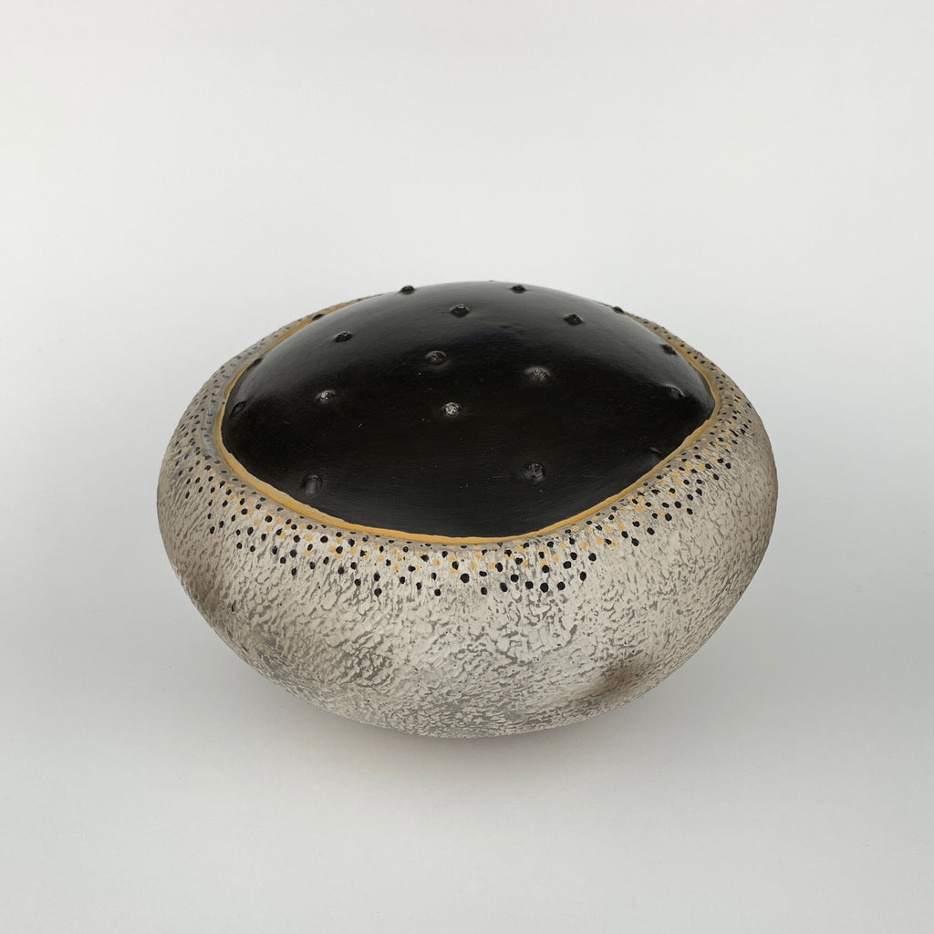 Large Gray and Black Pod With Ochre